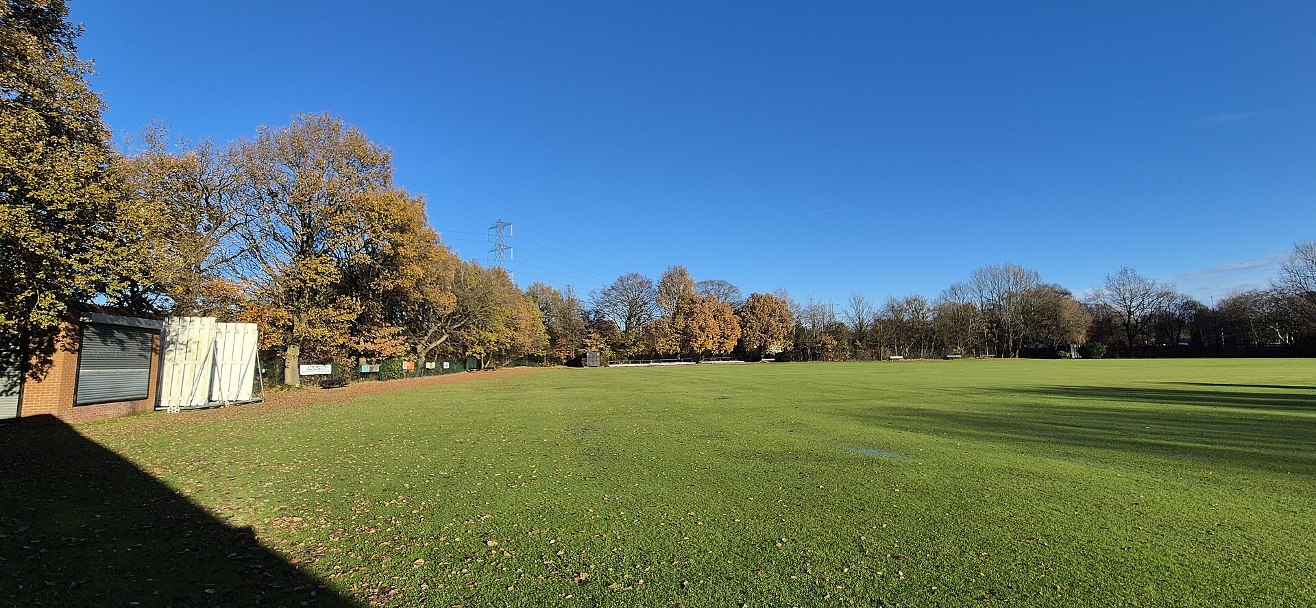 Cricket Pitch at Winton Cricket Club - geograph.org.uk - 7935678